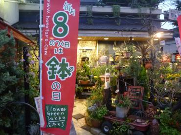 8のつく日は「鉢の日」｜「花たろう」　（埼玉県さいたま市桜区の花キューピット加盟店 花屋）のブログ