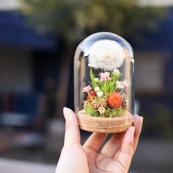 【HT005LL】ふわふわ綿毛のプリザーブドフラワー【L】 900174